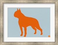 Framed Boston Terrier Orange