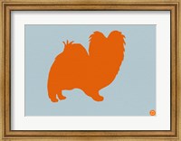 Framed Papillion Orange