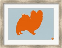 Framed Papillion Orange