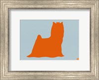 Framed Yorkshire Terrier Orange