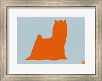 Framed Yorkshire Terrier Orange