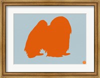 Framed Japanese Chin Orange