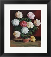 Framed Chrysanths