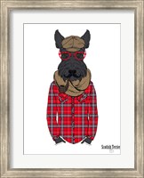 Framed Scottish Terrier In Pin Plaid Shirt