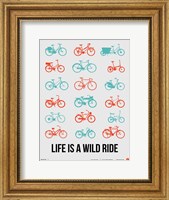Framed Life is a Wild Ride 2