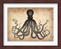 Framed Vintage Octopus