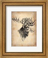 Framed Vintage Moose