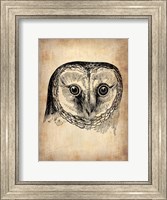 Framed Vintage Owl