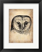 Framed Vintage Owl