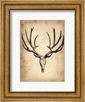 Framed Vintage Deer Scull