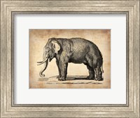 Framed Vintage Elephant