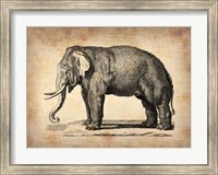 Framed Vintage Elephant