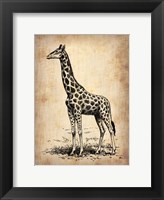 Framed Vintage Giraffe