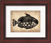 Framed Vintage Fish
