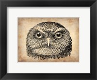 Framed Vintage Owl Face