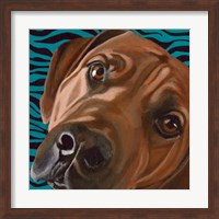 Framed Dlynn's Dogs - Bunsen
