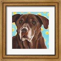 Framed Dlynn's Dogs - Get Your Ball