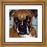 Framed Dlynn's Dogs - Rocco