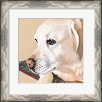 Framed Dlynn's Dogs - Shell