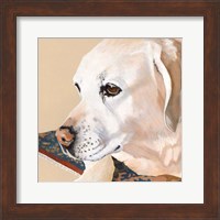 Framed Dlynn's Dogs - Shell