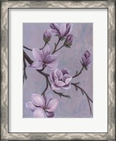 Framed Branches of Magnolia II