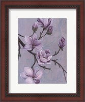 Framed Branches of Magnolia II