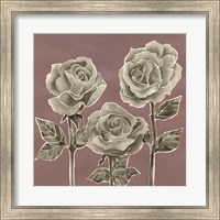 Framed Marsala Roses I