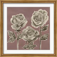 Framed Marsala Roses I