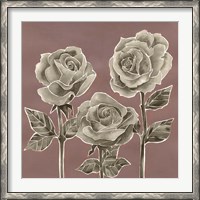 Framed Marsala Roses I