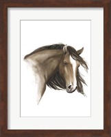 Framed Wild Horse I