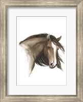 Framed Wild Horse I