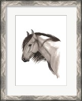 Framed Wild Horse II