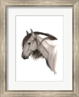 Framed Wild Horse II