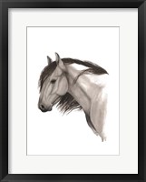 Wild Horse II Framed Print