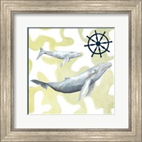 Framed Whale Composition I