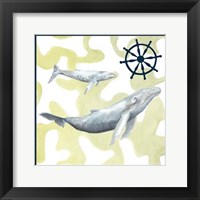 Framed Whale Composition I