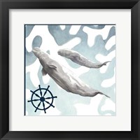 Framed Whale Composition IV