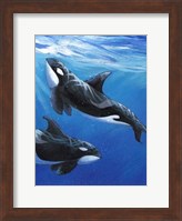 Framed Under Sea Whales II