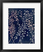 Midnight Haze II Framed Print