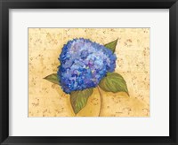 Framed Hydrangea Love II