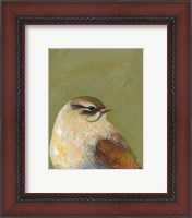 Framed Bird Portrait I