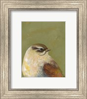Framed Bird Portrait I
