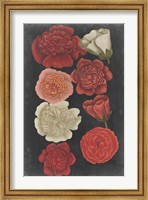 Framed Midnight Roses