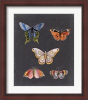 Framed Butterflies on Slate II
