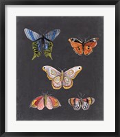 Butterflies on Slate II Framed Print