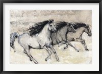 Horses in Motion II Framed Print