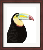 Framed Watercolor Toucan