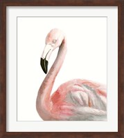 Framed Watercolor Flamingo