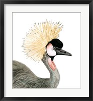 Watercolor Crested Crane Framed Print