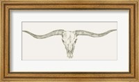 Framed Western Skull Mount III